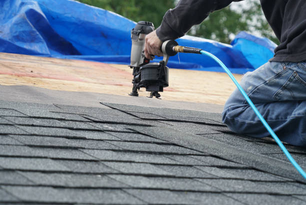 Best Commercial Roofing Services  in Genoa, AR
