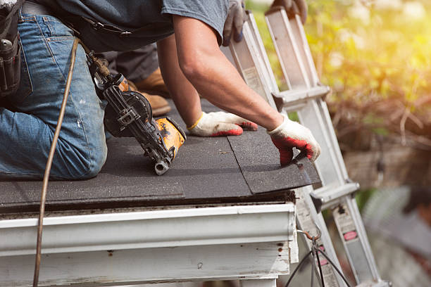 Best Flat Roof Repair Services  in Genoa, AR