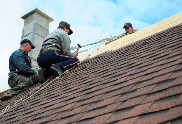 Best Roof Repair Services  in Genoa, AR