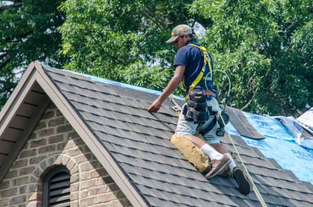 Best Commercial Roofing Services  in Genoa, AR